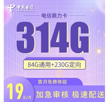 电信鼎力卡19元314G