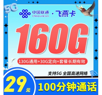 联通飞燕卡29元160G+100分钟