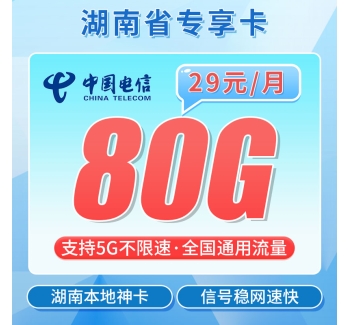 电信湖南卡29元80G